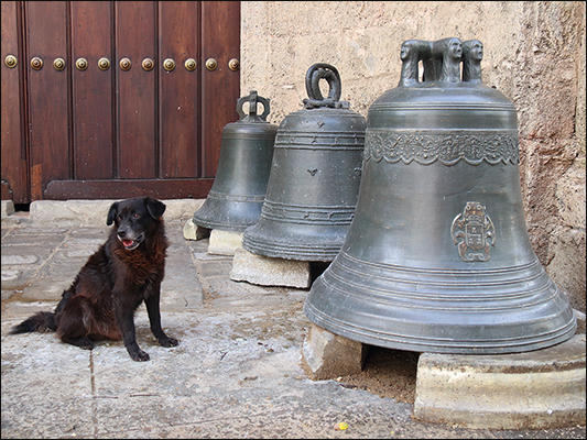 <strong>Le campane di San Francesco</strong><br /> <br /><em>♫ Polo Montañez - Guajiro Natural - Un Bolero.mp3</em>