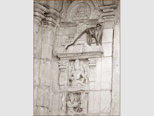 <strong>Macaco dalla lunga coda tra i templi di Pattadakal</strong><br /> <br /><em>♫ Lionel Hampton - Walkman Jazz - Je Ne Sais Pas.mp3</em>