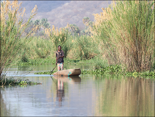 In canoa tra i canneti del fiume Shire nel Liwonde National Park<br /><br />♫ Weather Report - This is this - Update.mp3