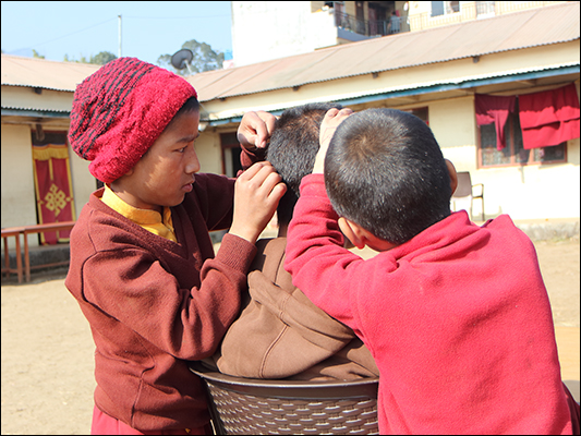 <strong>Spidocchiatori super concentrati</strong><br /> <br /><em>♫ Lionel Hampton - The best of - Airmail special.mp3</em>