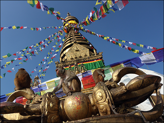 <strong>Lo stupa di Swayambhunath, il tempio delle scimmie</strong><br /> <br /><em>♫ Lionel Hampton - The best of - Airmail special.mp3</em>