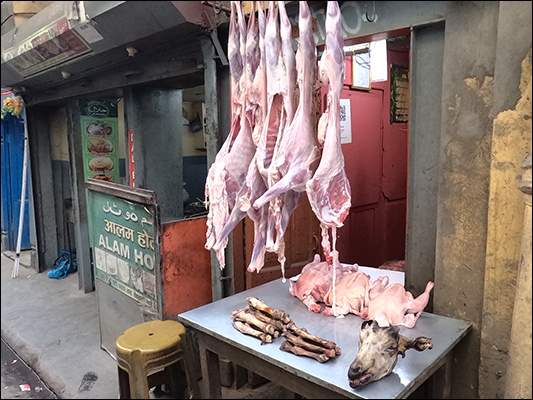 <strong>La testa tradisce l’origine della carne...</strong><br /> <br /><em>♫ Lionel Hampton - The best of - Airmail special.mp3</em>