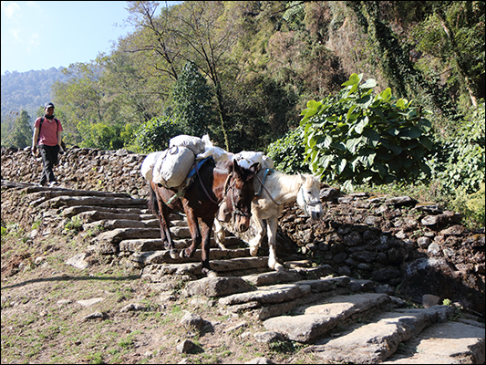 <strong>Sentiero per l’Annapurna</strong><br /> <br /><em>♫ Lionel Hampton - Walkman Jazz - Je Ne Sais Pas.mp3</em>