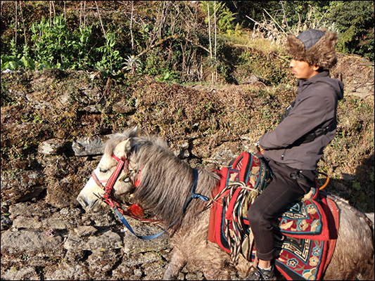 <strong>Mezzo di trasporto personale</strong><br /> <br /><em>♫ Lionel Hampton - Walkman Jazz - Je Ne Sais Pas.mp3</em>