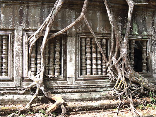 <strong>Liane del ficus strangolatore al Beng Mealea Temple </strong><br /> <br /><em>♫ Chick Corea & Gary Burton - Children's Song.mp3</em>