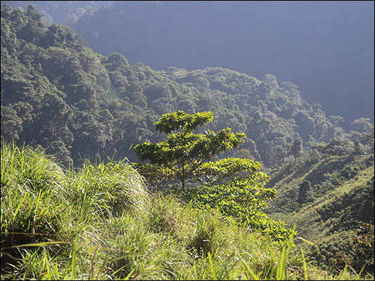 <strong>Camino a Ciudad Perdida</strong><br /> <br /><em>♫ Chick Corea & Gary Burton - Crystal Silence - What Game Shall We Play Today.mp3 </em>