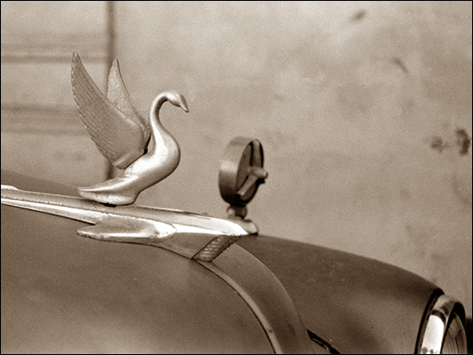 <strong>Cofano di una Packard</strong><br /> <br /><em>♫ Polo Montañez - Guajiro Natural - Quien Será.mp3</em>