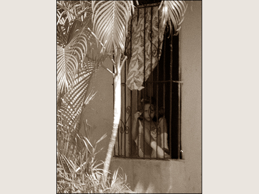 <strong>All'ombra delle palme</strong><br /> <br /><em>♫ Polo Montañez - Guajiro Natural - Quien Será.mp3</em>