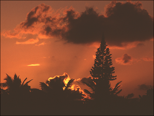 <strong>Tramonto a Varadero</strong><br /> <br /><em>♫ Polo Montañez - Guajiro Natural - Quien Será.mp3</em>