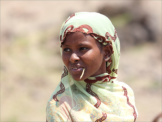 <strong>A seguito della transumanza...</strong><br /> <br /><em>♫ Di Meola, McLaughlin e de Lucía - Passion, Grace and Fire.mp3</em>