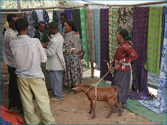 <strong>In fila con la capretta</strong><br /> <br /><em>♫ Petra Magoni - Musica Nuda 2 - Levieennoir.mp3</em>