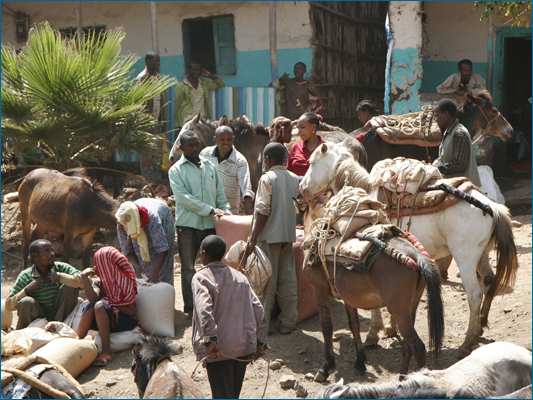 <strong>Preparativi per la carovana</strong><br /> <br /><em>♫ Petra Magoni - Musica Nuda 2 - Levieennoir.mp3</em>