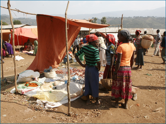 <strong>Cipolle ed altro</strong><br /> <br /><em>♫ Petra Magoni - Musica Nuda 2 - Levieennoir.mp3</em>