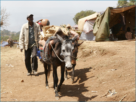 <strong>Verso il mercato</strong><br /> <br /><em>♫ Petra Magoni - Musica Nuda 2 - Levieennoir.mp3</em>