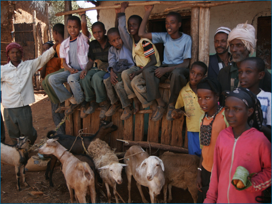 <strong>Siamo noi lo spettacolo!!!</strong><br /> <br /><em>♫ Petra Magoni - Musica Nuda 2 - Levieennoir.mp3</em>