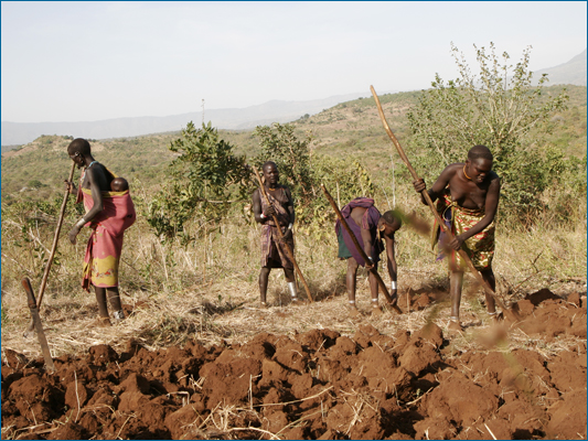 <strong>Kormu - Lavoro nei campi</strong><br /> <br /><em>♫ Petra Magoni - Musica Nuda 2 - Couleurcafe.mp3</em>