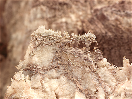 <strong>Cristalli di sale e argilla</strong><br /> <br /><em>♫ Di Meola, McLaughlin e de Lucía - Passion, Grace and Fire - Sichia.mp3</em>