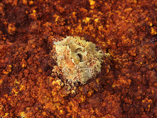 <strong>Piccolo caminetto nel grande cratere</strong><br /> <br /><em>♫ Di Meola, McLaughlin e de Lucía - Passion, Grace and Fire - Sichia.mp3</em>