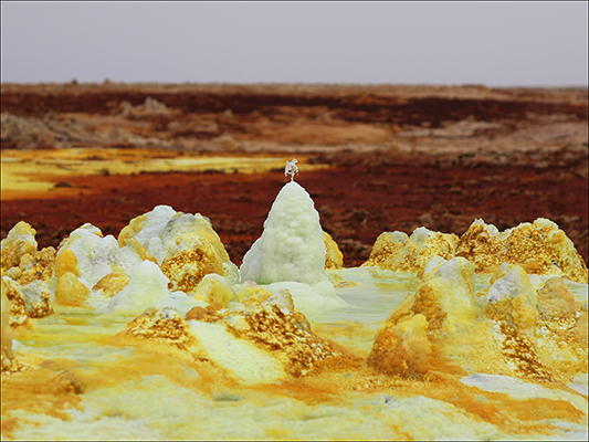 <strong>Una fontanella nel Dallòl</strong><br /> <br /><em>♫ Di Meola, McLaughlin e de Lucía - Passion, Grace and Fire - Sichia.mp3</em>