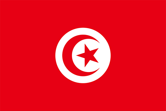tunisia flag