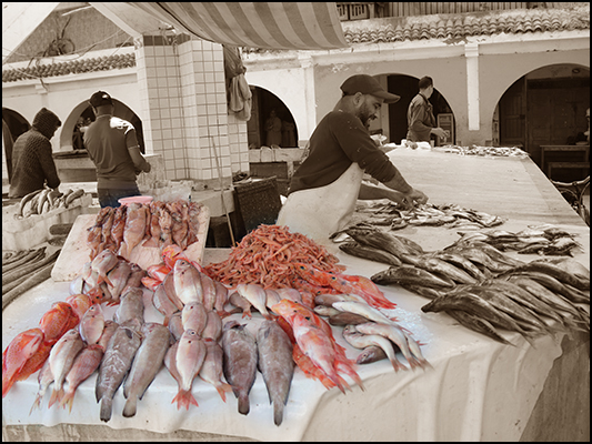 <strong>Pesce fresco a Essaouira</strong><br /> <br /><em>♫ Moktar Gania & Gnawa Soul - Rabi Lâafou.mp3</em>