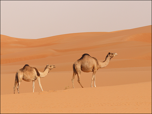 <strong>Sulle Dune di Azoueiga</strong><br /> <br /><em>♫ someothertime.mp3</em>