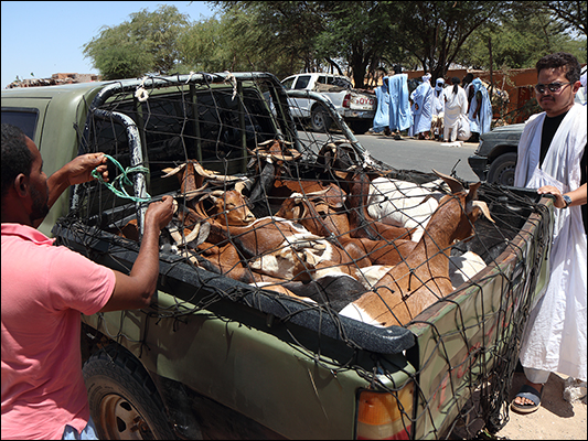<strong>Acquisto al mercato di Nouakchott</strong><br /> <br /><em>♫ Overtherainbow.mp3</em>
