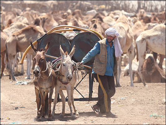 <strong>Somarocisterna al mercato di Nouakchott</strong><br /> <br /><em>♫ Overtherainbow.mp3</em>