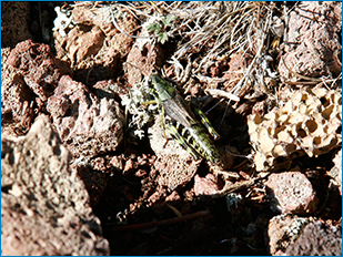 3399